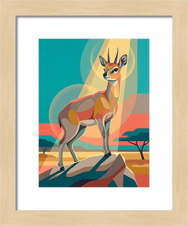 Klipspringer Standing Proud