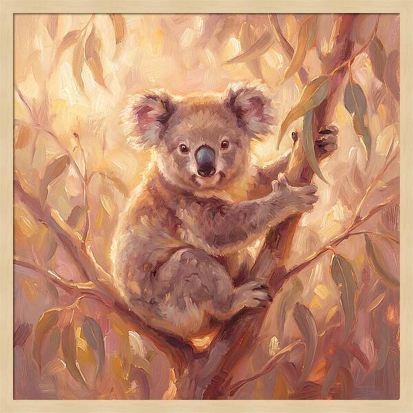 Koala In Eucalyptus