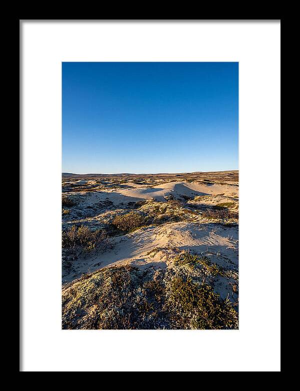 Kobuk Sand Dunes Serenity