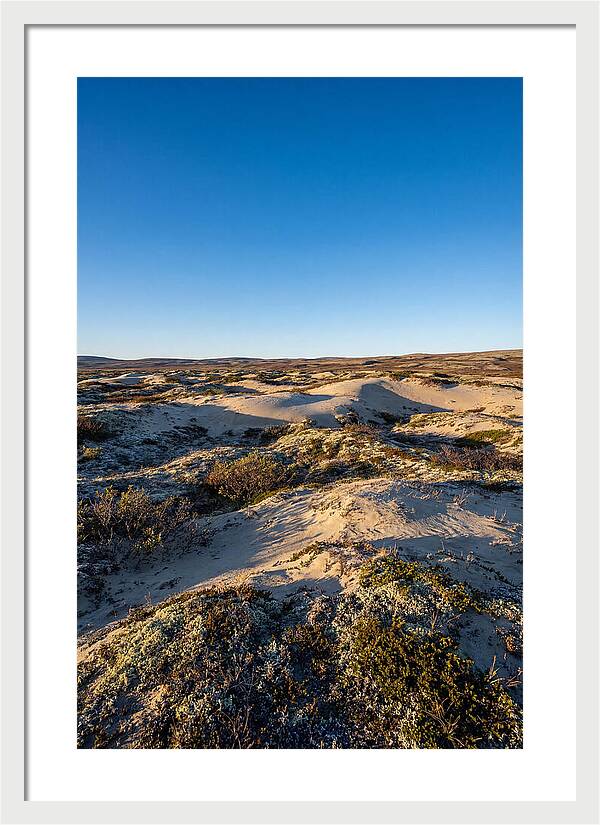 Kobuk Sand Dunes Serenity
