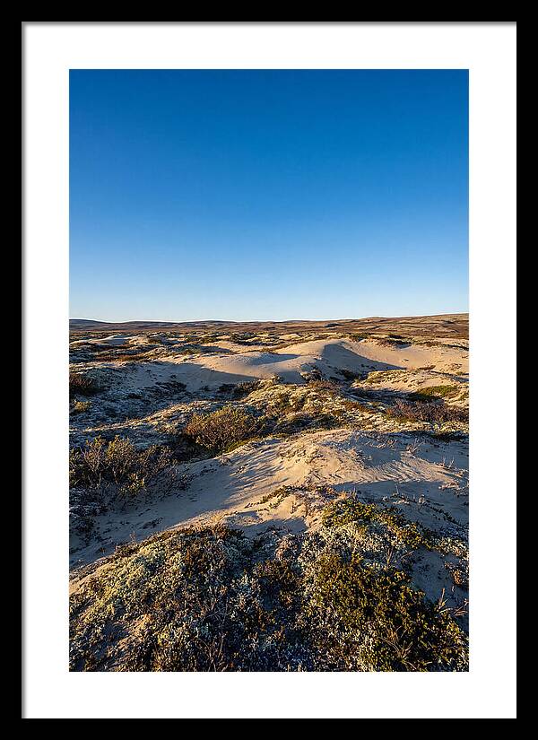 Kobuk Sand Dunes Serenity
