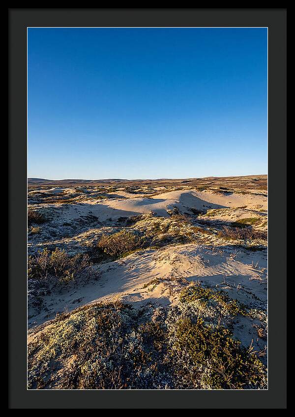 Kobuk Sand Dunes Serenity
