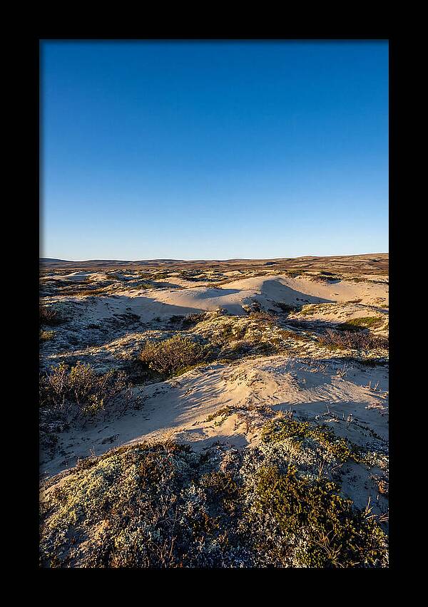 Kobuk Sand Dunes Serenity