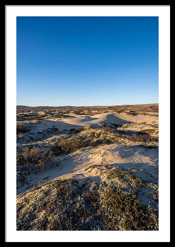 Kobuk Sand Dunes Serenity
