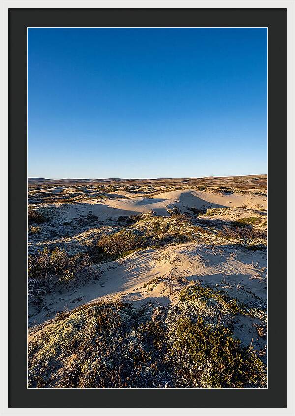 Kobuk Sand Dunes Serenity