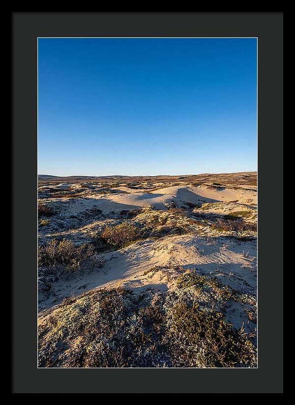 Kobuk Sand Dunes Serenity