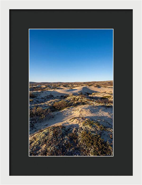 Kobuk Sand Dunes Serenity