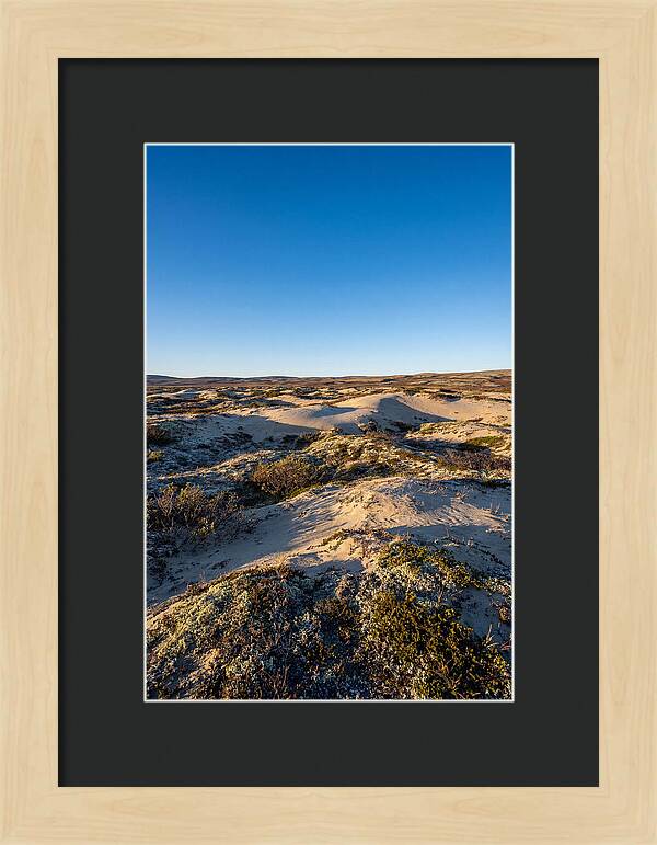 Kobuk Sand Dunes Serenity