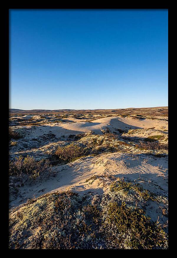 Kobuk Sand Dunes Serenity