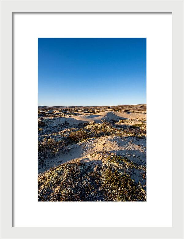 Kobuk Sand Dunes Serenity