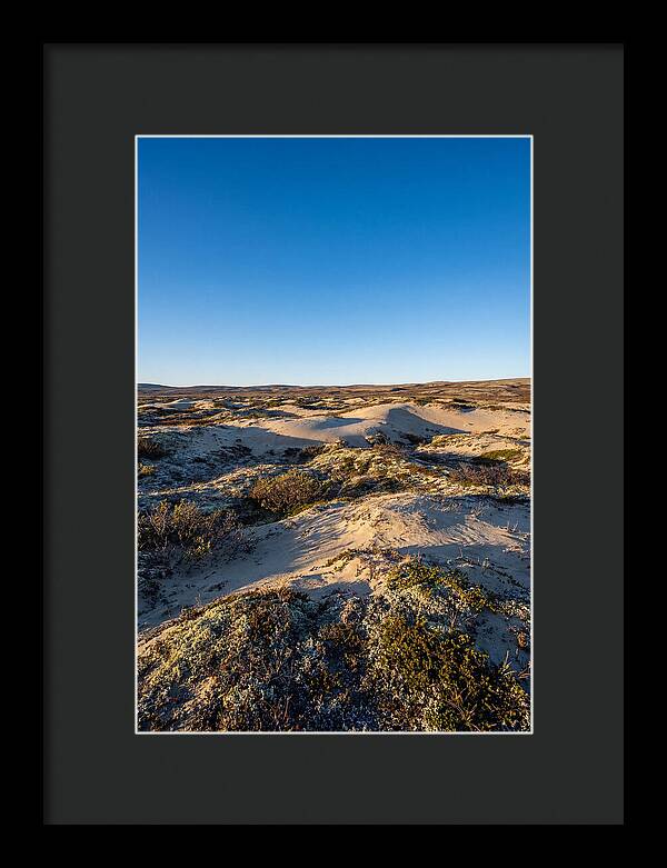 Kobuk Sand Dunes Serenity