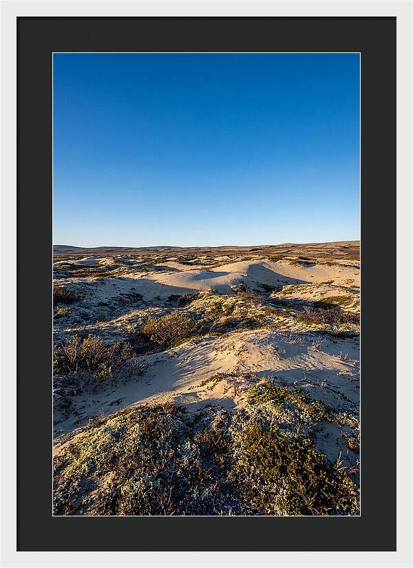 Kobuk Sand Dunes Serenity