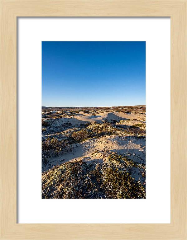 Kobuk Sand Dunes Serenity