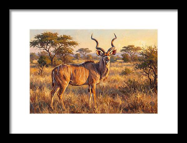 Kudu In Golden Light