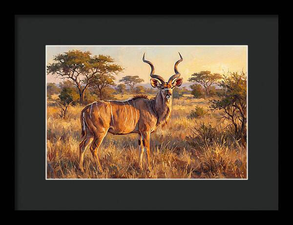 Kudu In Golden Light
