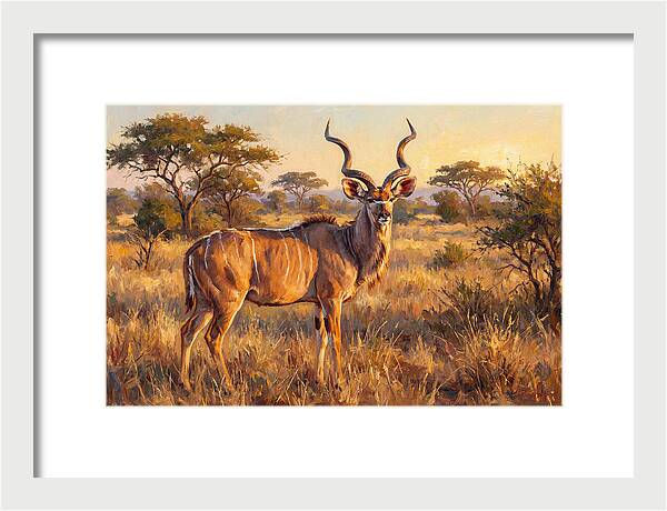 Kudu In Golden Light