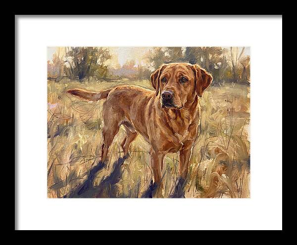 Labrador Retriever Exploring The Outdoors