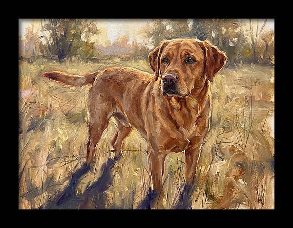 Labrador Retriever Exploring The Outdoors