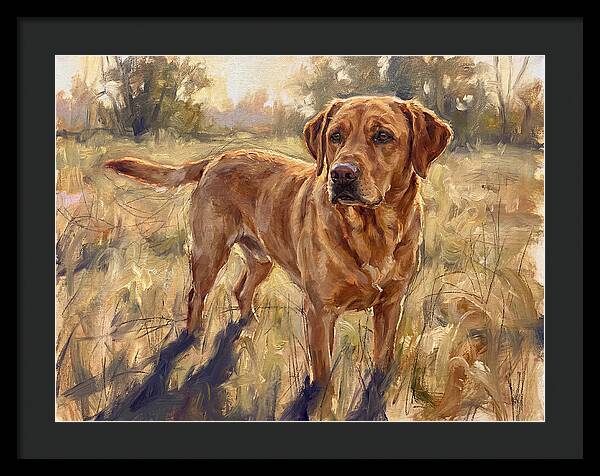 Labrador Retriever Exploring The Outdoors