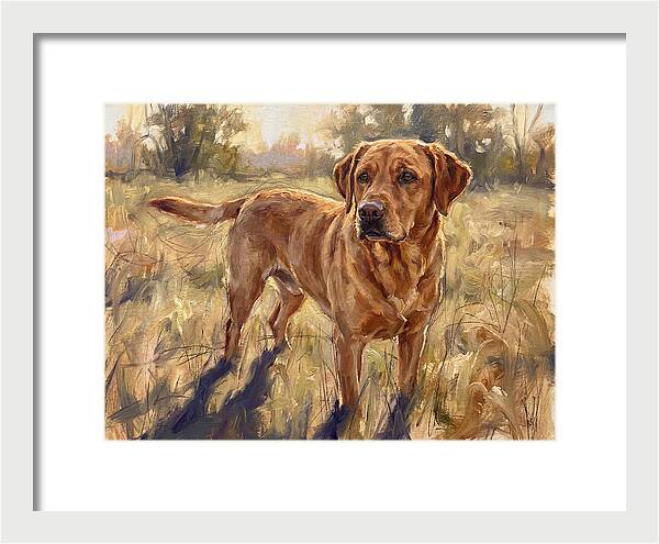 Labrador Retriever Exploring The Outdoors