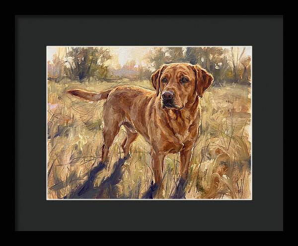 Labrador Retriever Exploring The Outdoors