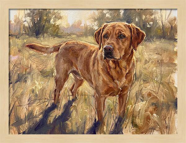 Labrador Retriever Exploring The Outdoors