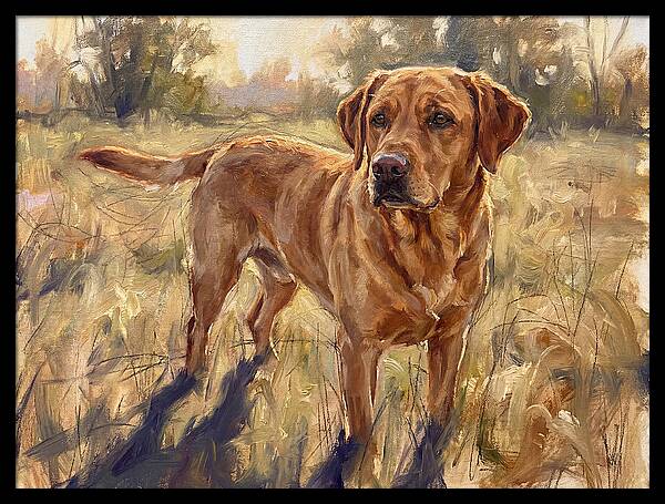 Labrador Retriever Exploring The Outdoors