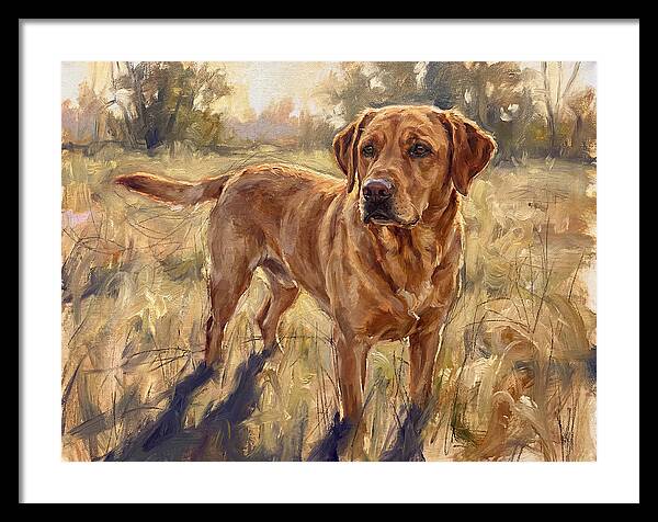 Labrador Retriever Exploring The Outdoors