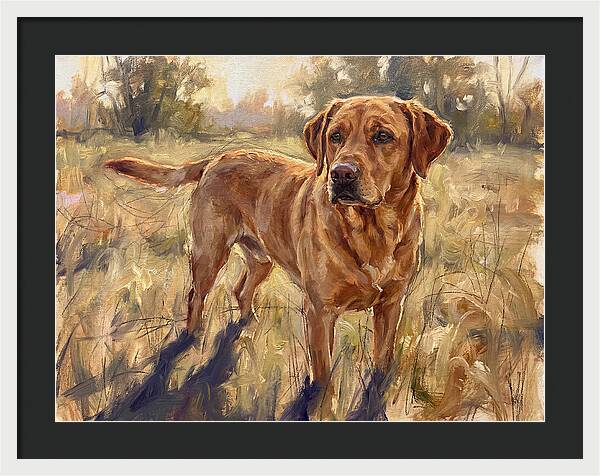 Labrador Retriever Exploring The Outdoors