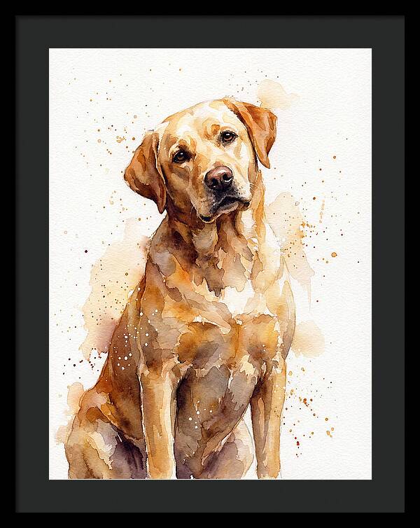 Labrador Retriever Portrait