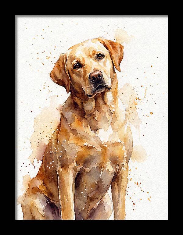 Labrador Retriever Portrait