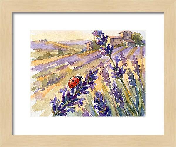 Ladybug Among Lavender Fields