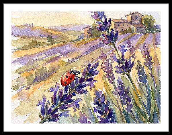 Ladybug Among Lavender Fields