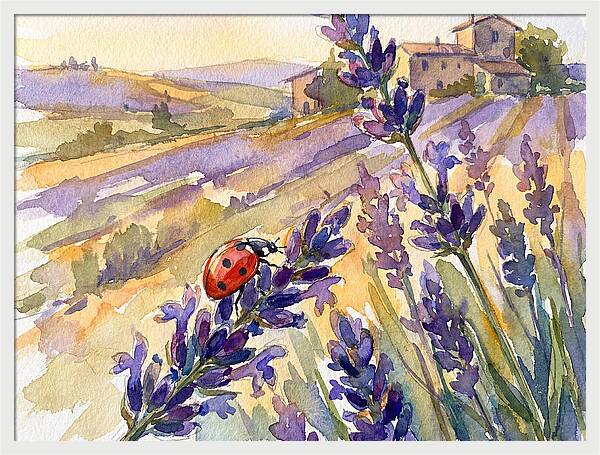 Ladybug Among Lavender Fields