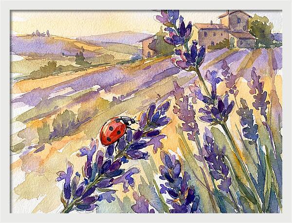 Ladybug Among Lavender Fields