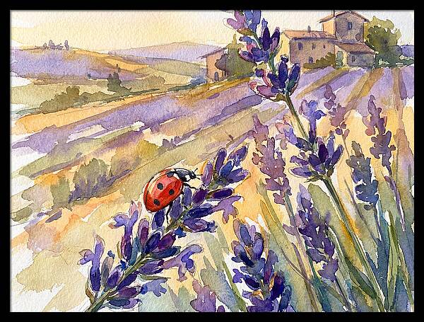 Ladybug Among Lavender Fields