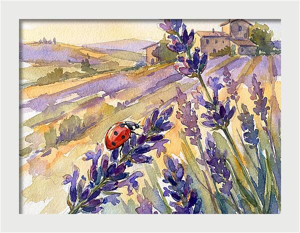 Ladybug Among Lavender Fields