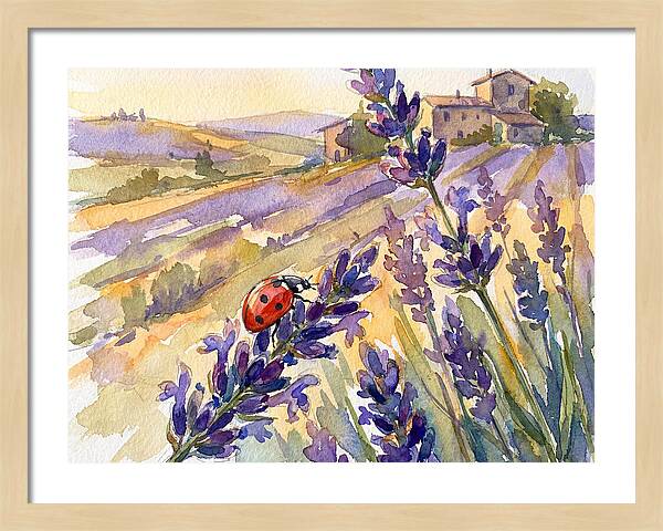 Ladybug Among Lavender Fields