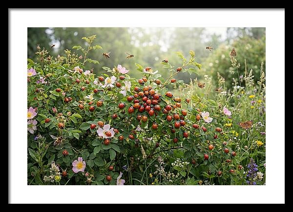 Ladybug Cluster