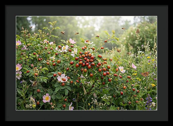 Ladybug Cluster