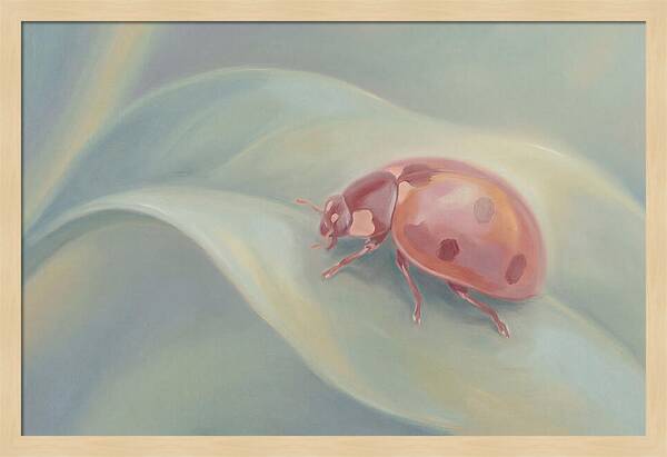Ladybug On A Leaf