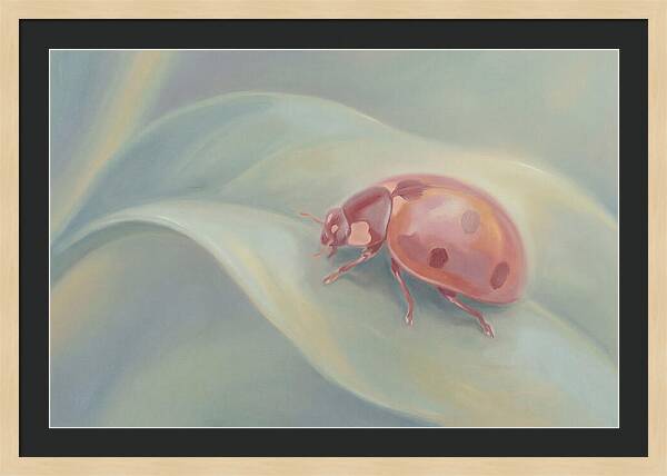 Ladybug On A Leaf