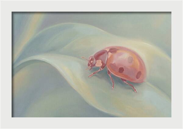 Ladybug On A Leaf