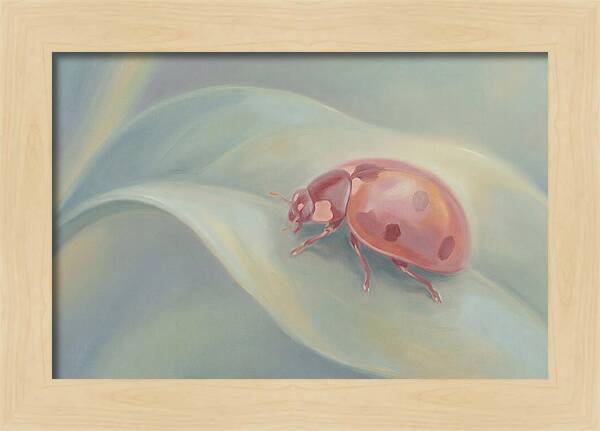 Ladybug On A Leaf