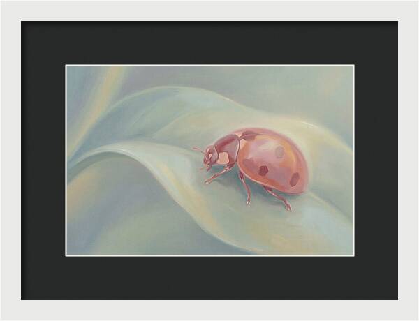 Ladybug On A Leaf