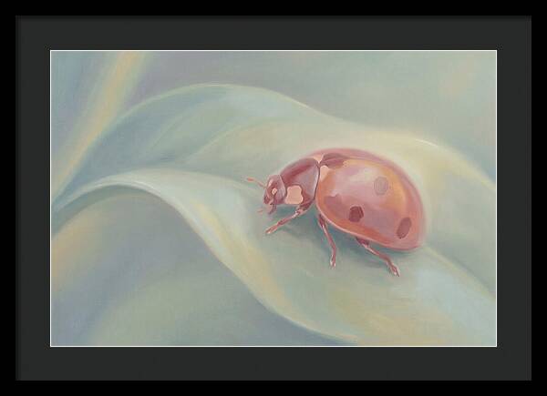 Ladybug On A Leaf