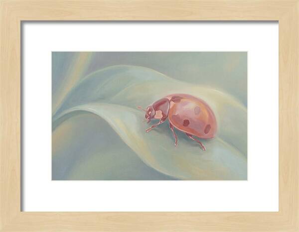 Ladybug On A Leaf