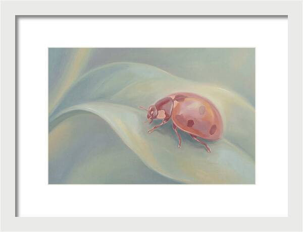 Ladybug On A Leaf