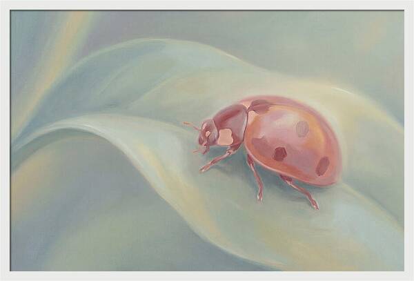 Ladybug On A Leaf