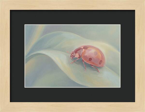 Ladybug On A Leaf